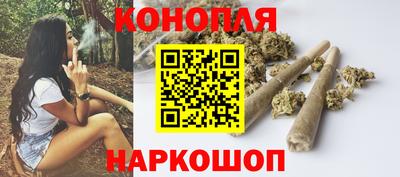 крисы Будённовск