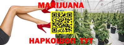 индика Бузулук